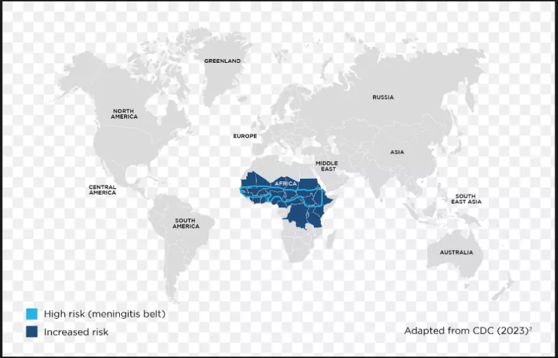 Recomendaciones de vacunación meningocócica para poblaciones de alto riesgo: una revisión entre países